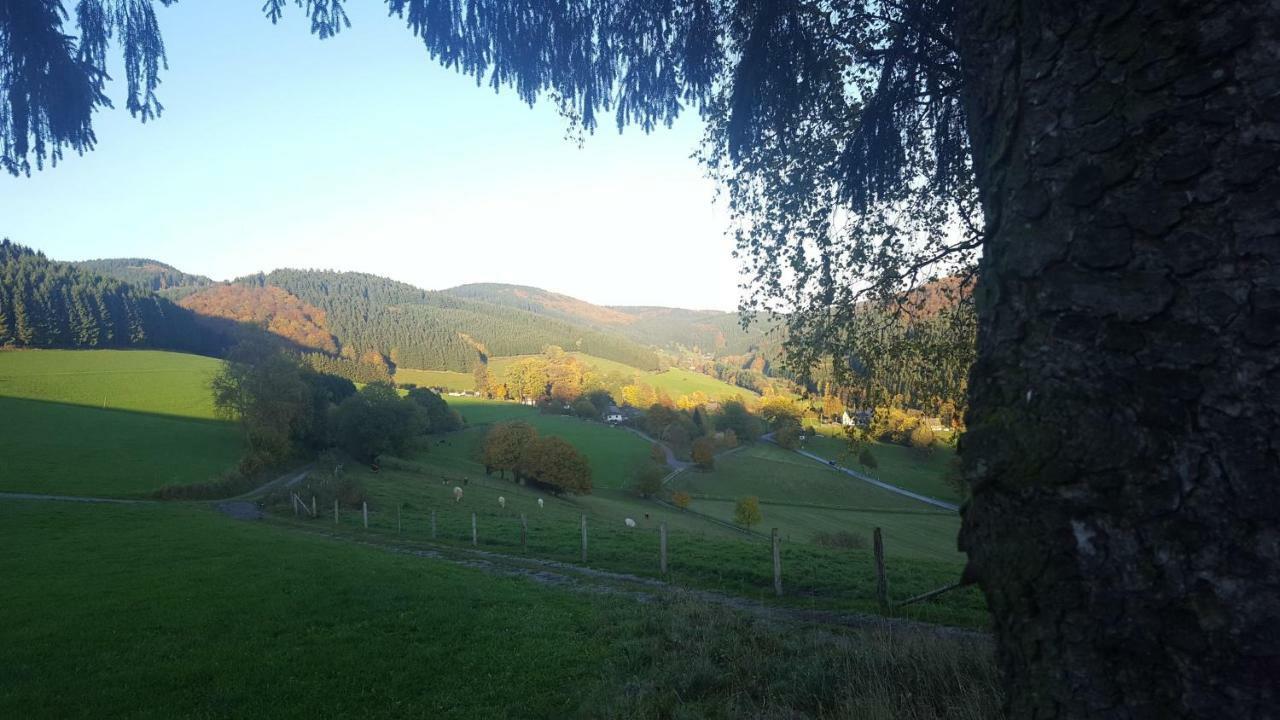 Pension Bergfrieden Schmallenberg Eksteriør bilde